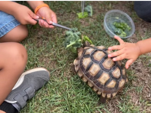 Friday's Science Enrichment Programs
