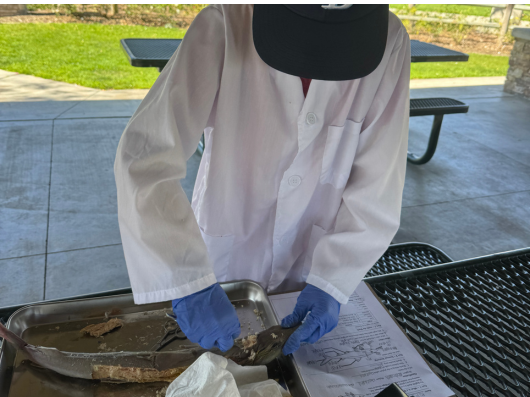 Thursday's Science Enrichment Programs