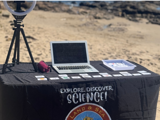 Tuesday's Science Enrichment Programs