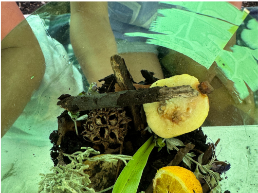 Friday's Science Enrichment Programs