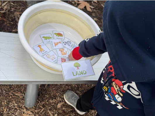 Wednesday's Science Enrichment Programs