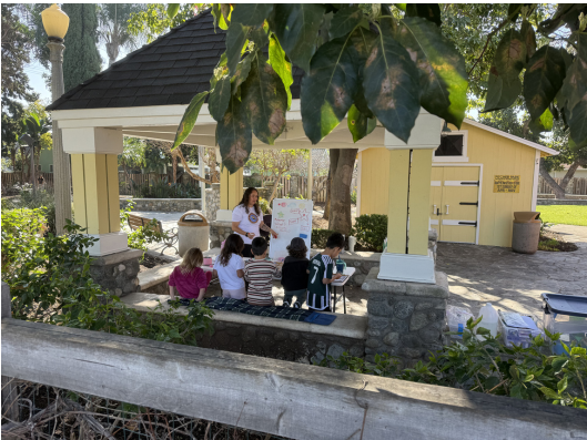 Tuesday's Science Enrichment Programs