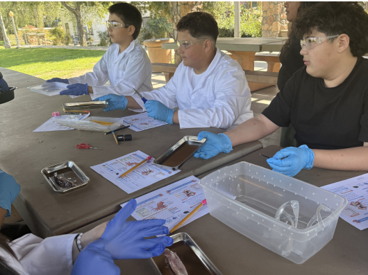 Monday's Science Enrichment Programs