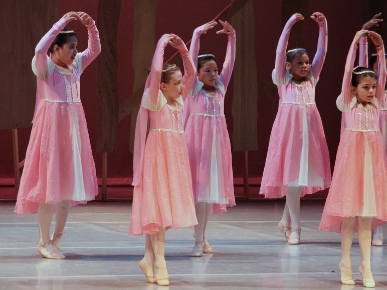 Beginning Ballet Classes