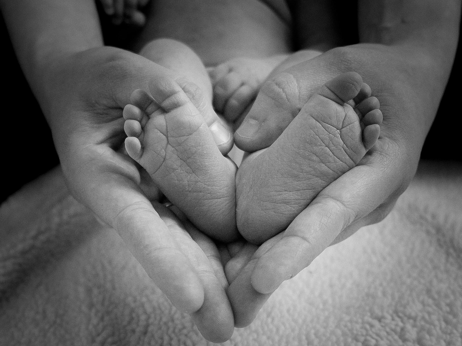 Special Interest Classes