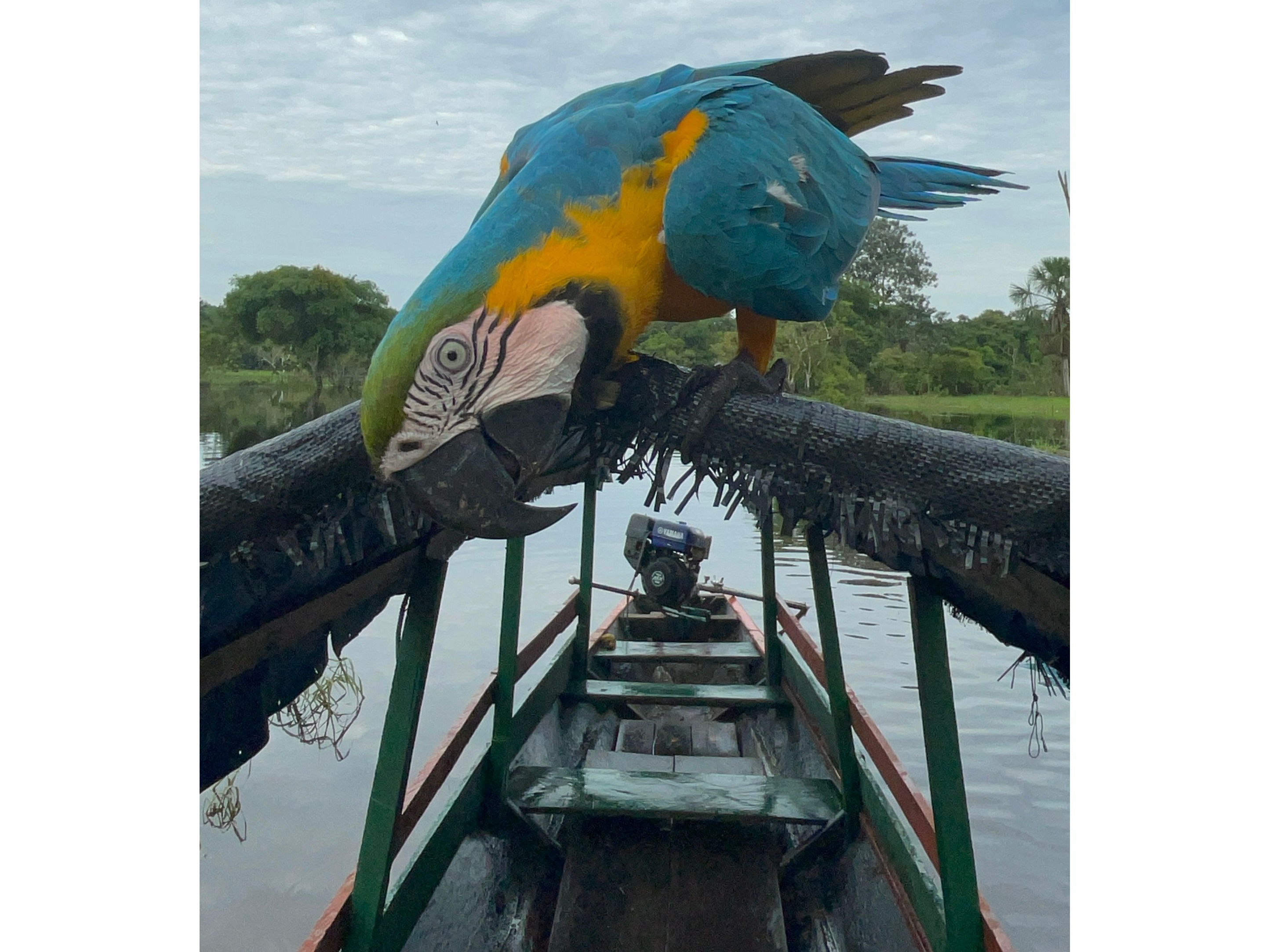 Upcoming Journeys 2026