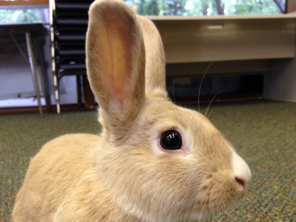 2026 Fall Class Offerings