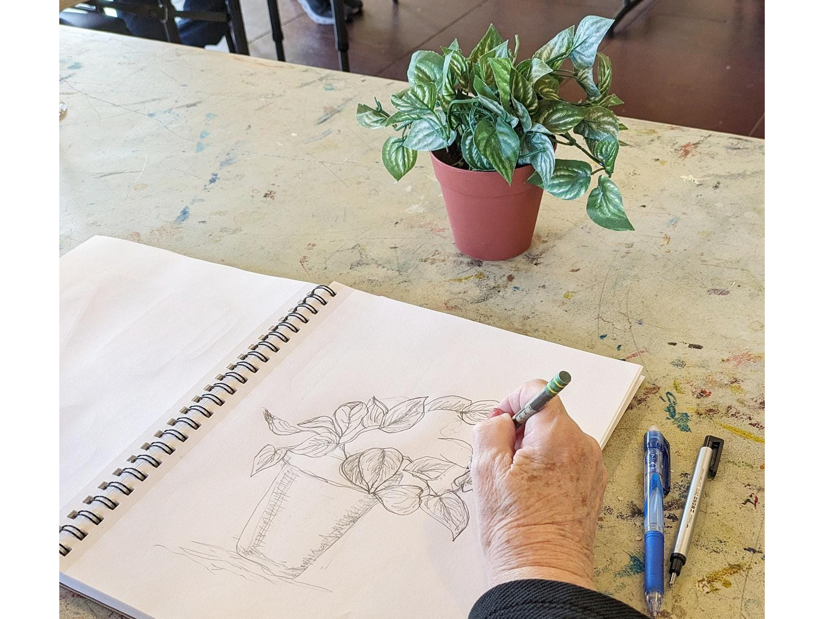 Intro to Drawing for Adults with Belinda Moffit