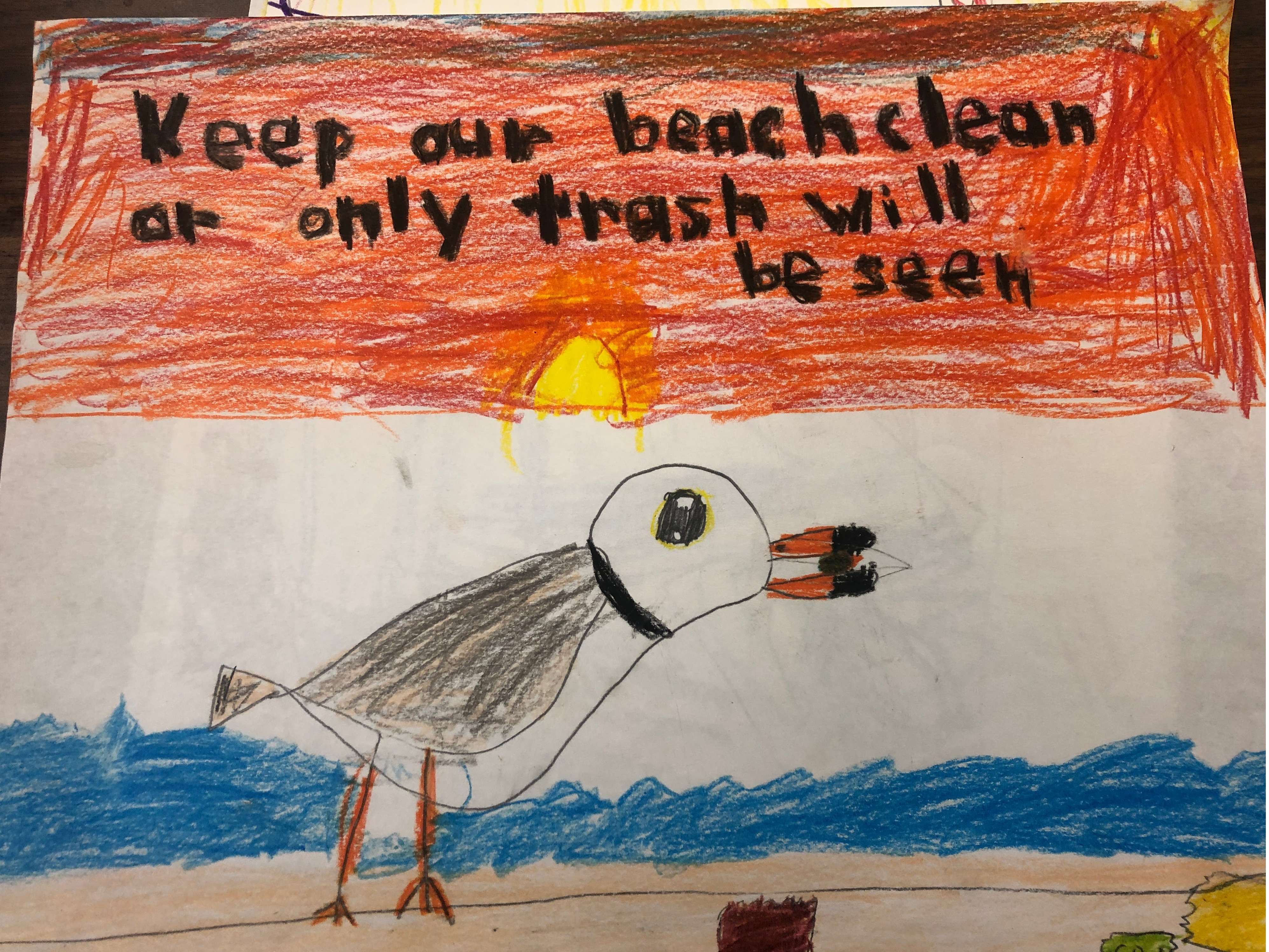 February / March 2026 Programs