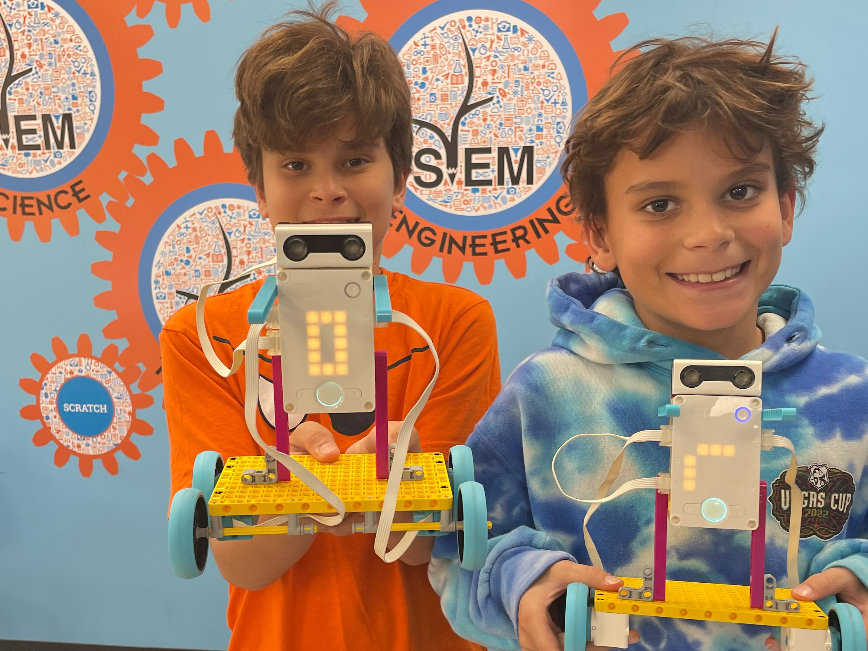 Weekly STEM Enrichment Sessions