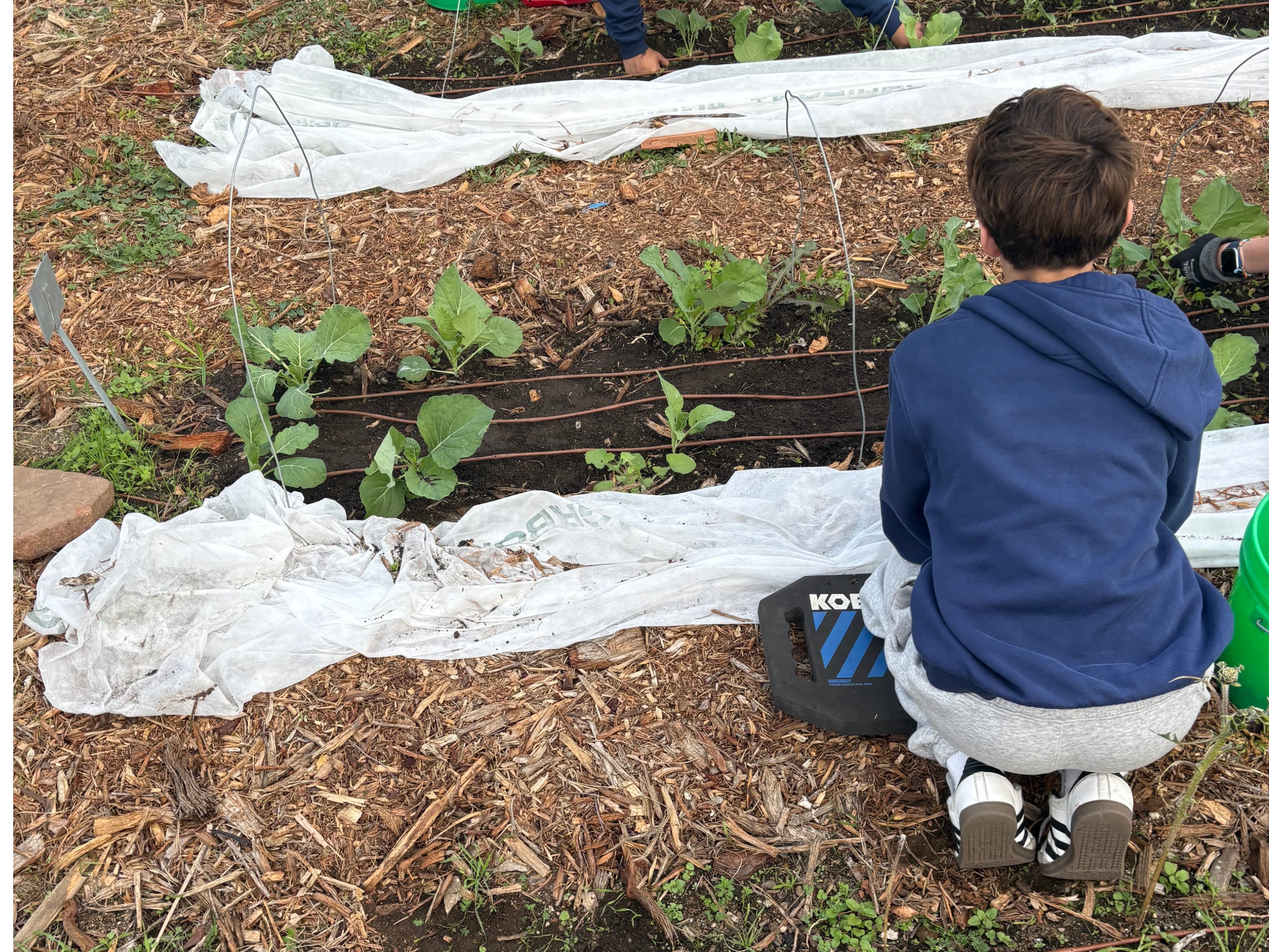 Middle School Classes