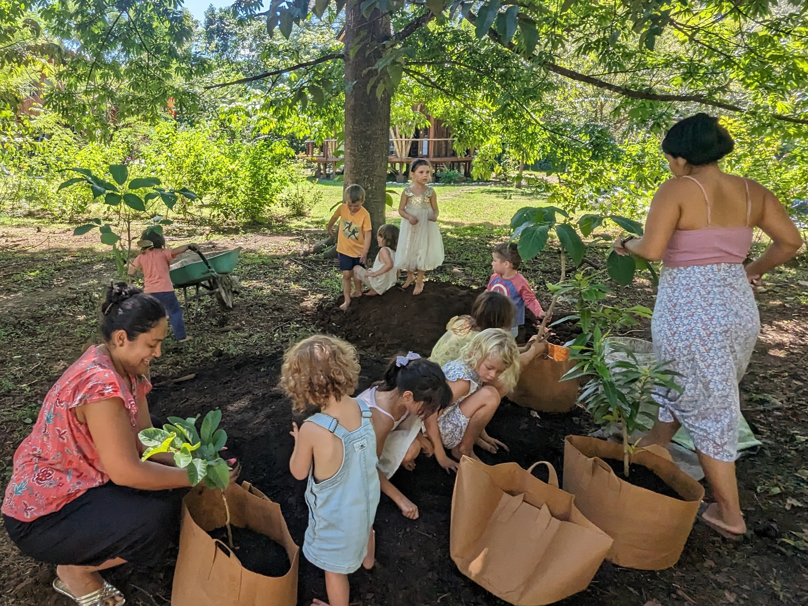 Choose Your Weeks & Days