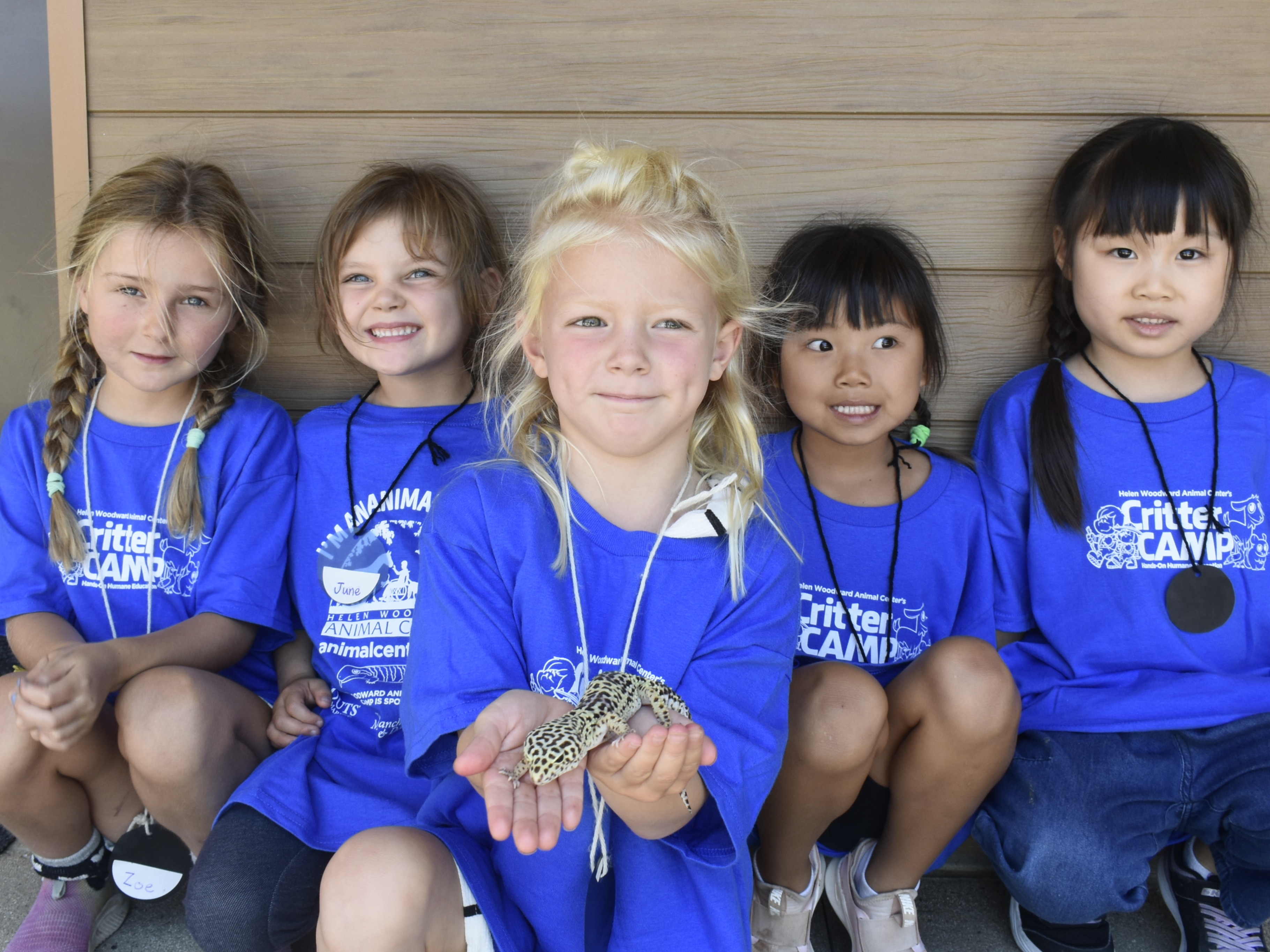 Critter Camp 2025